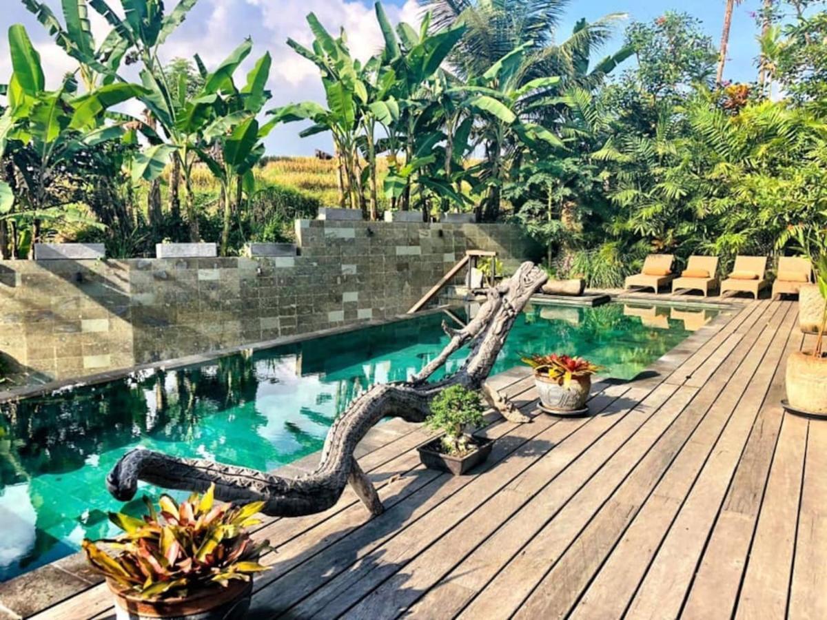 Dragon House - Your Dream House In Bali! Убуд Екстериор снимка